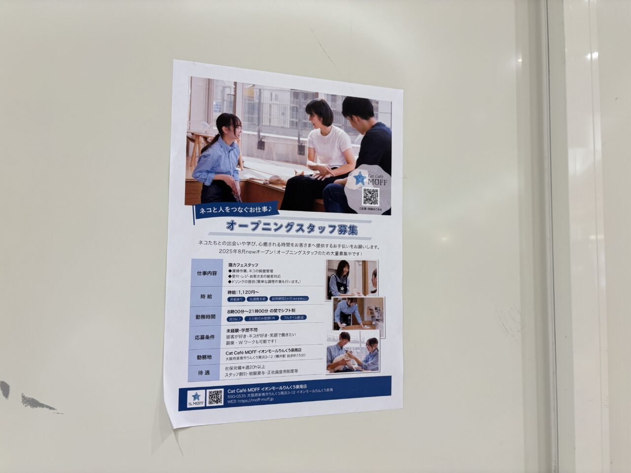 スタッフ募集の案内