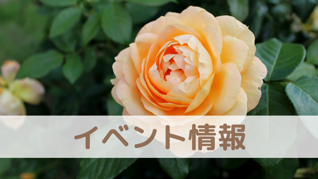 イベント情報