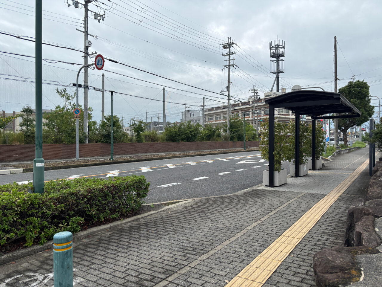 泉南市役所前（やぐら曳行予定区域）