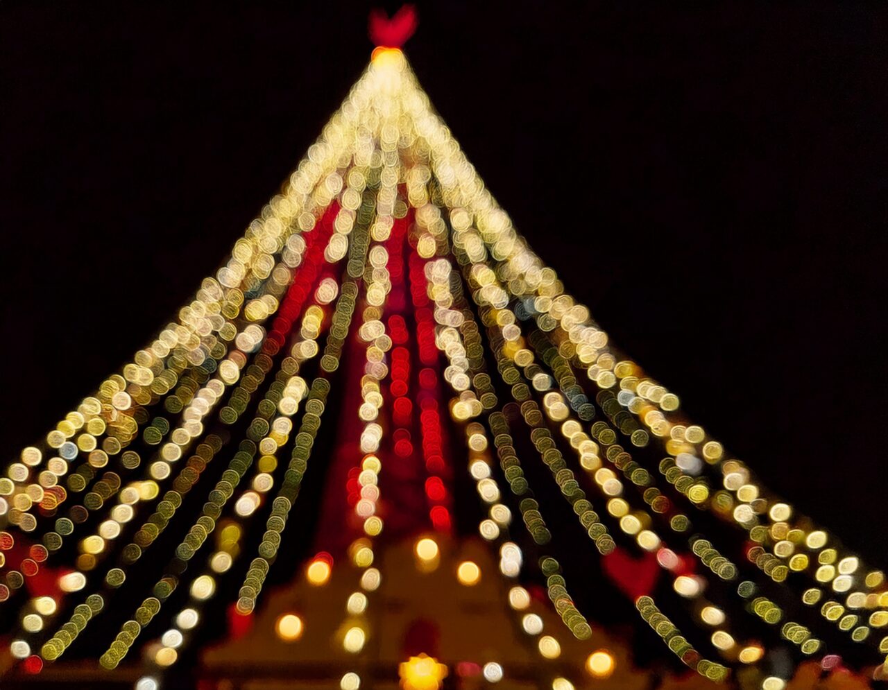 イルミネーション