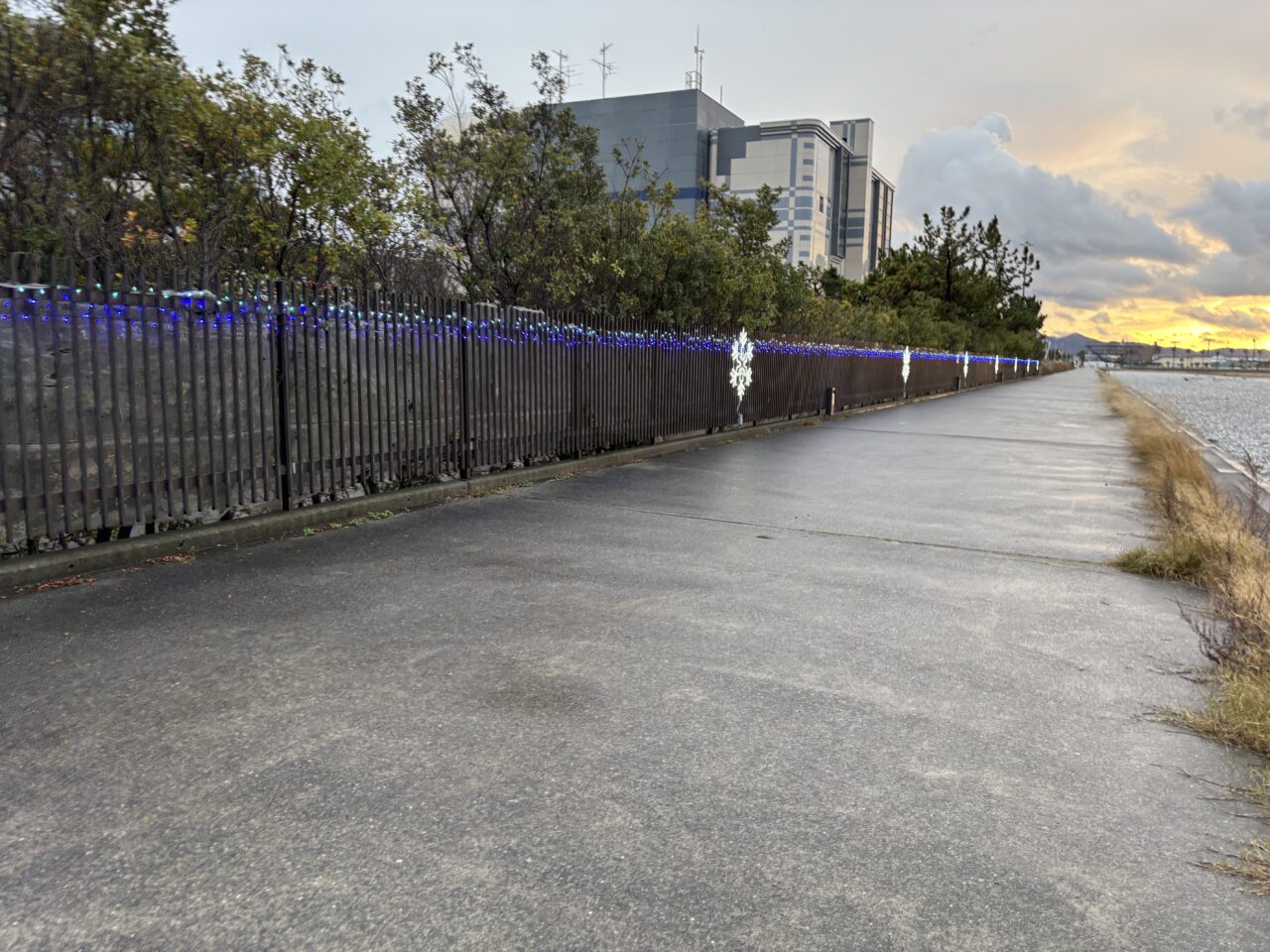 ロングパークマルシェエリアからコミュニティエリアへの道の点灯