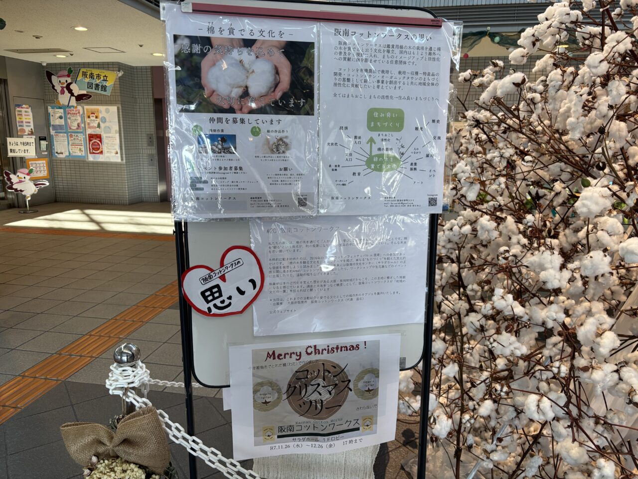 コットンクリスマスツリー展示の案内