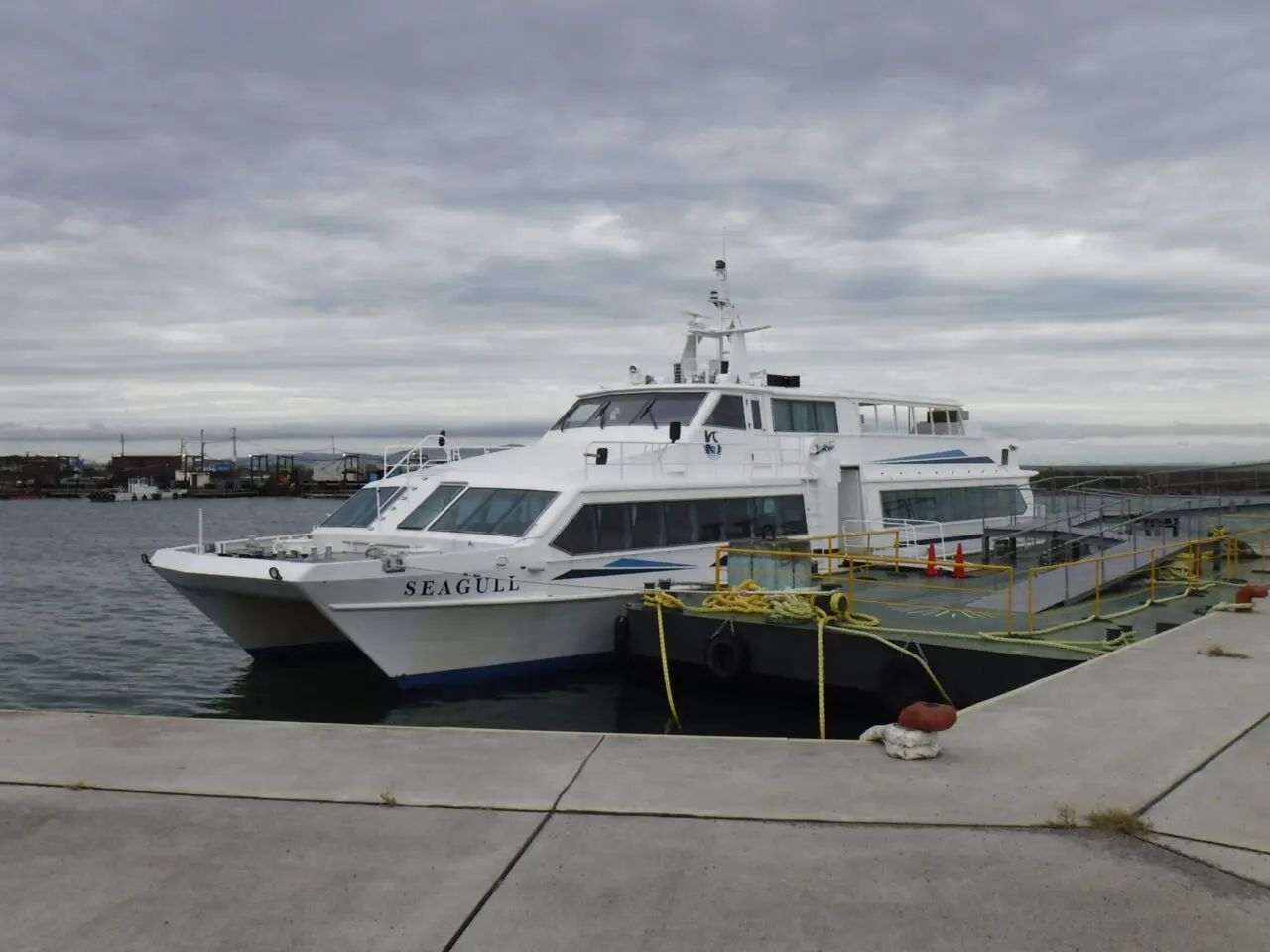 深日洲本ライナー