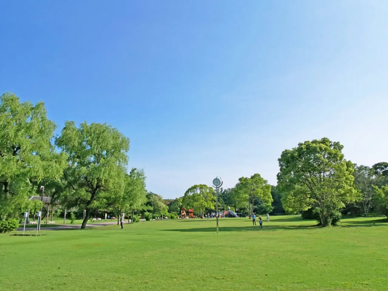 公園のイメージ画像