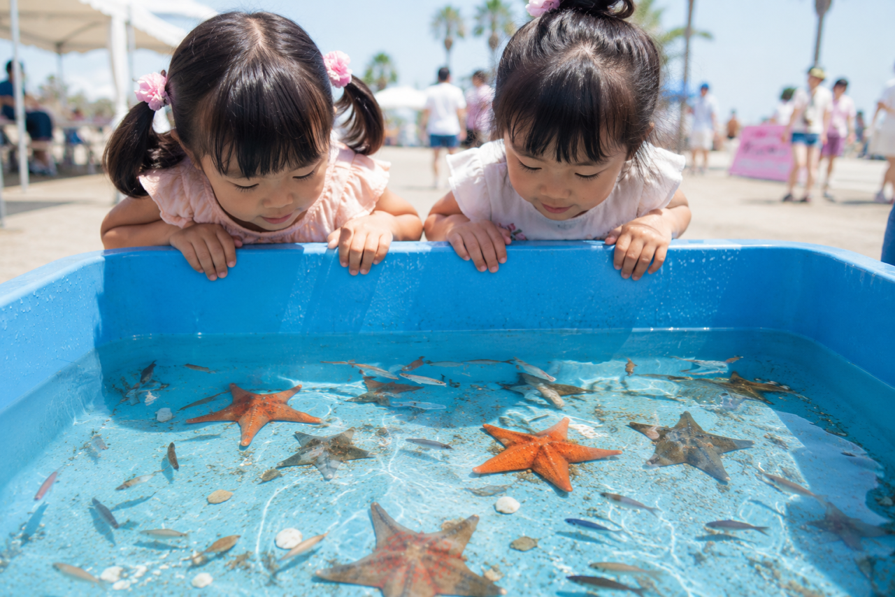 移動水族館のイメージ画像